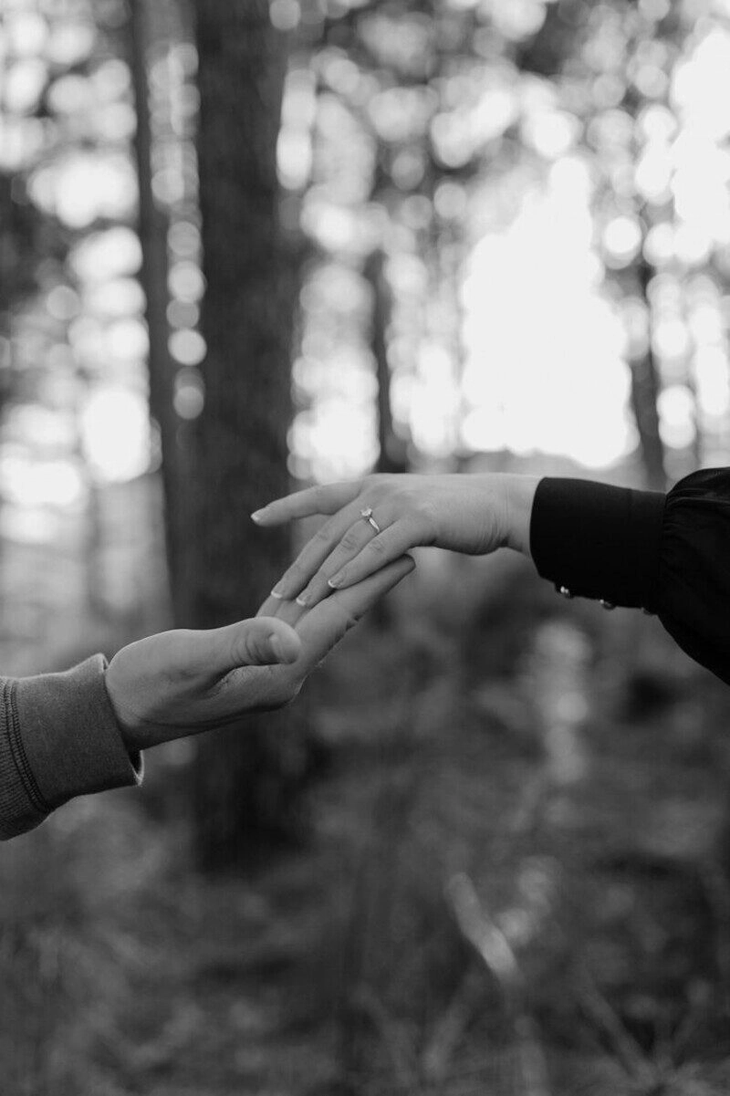 ảnh nắm tay đẹp đen trắng, ảnh nắm tay với người yêu