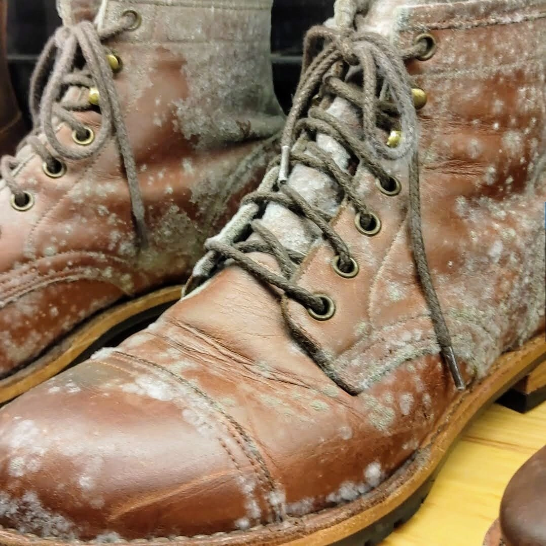 Bảo quản giày da không bị mốc – Bí quyết luôn bền đẹp