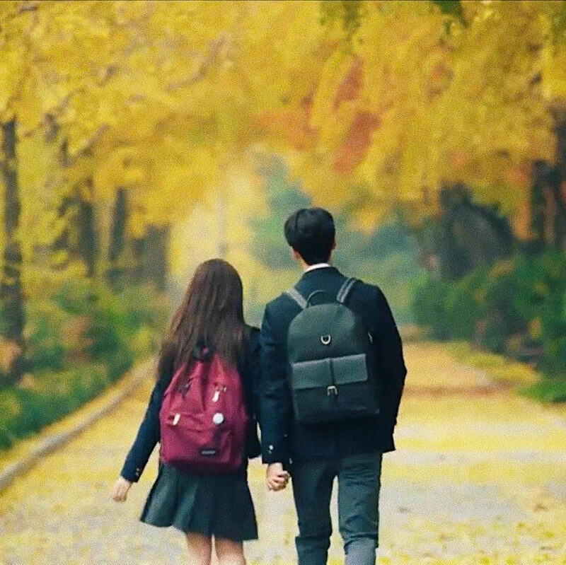 Hình ảnh nắm tay cùng đi trong khuôn viên trường đầy lá vàng