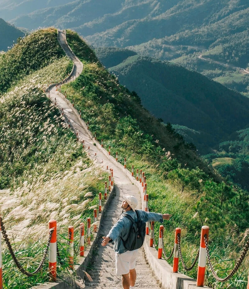 Hình ảnh nam đứng ở bãi cỏ lau cực chill