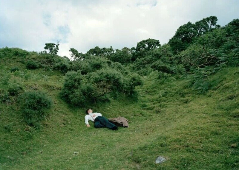 ảnh bãi cỏ đẹp