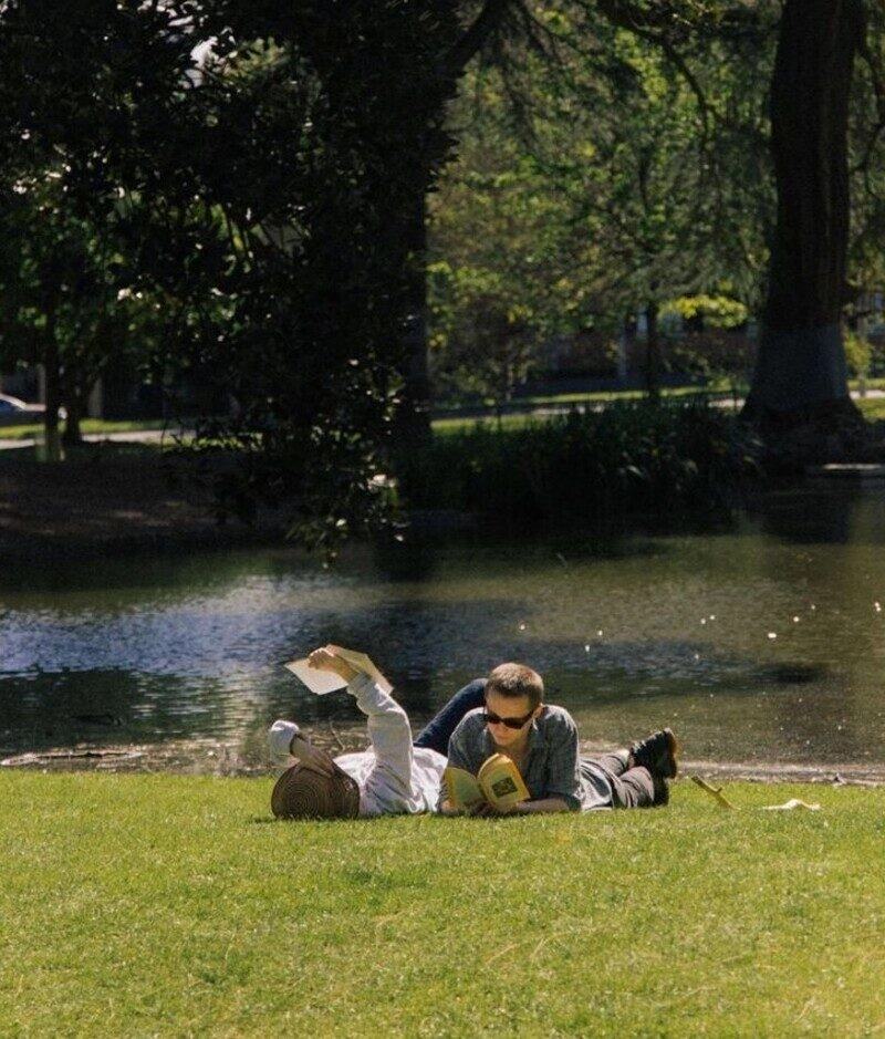 ảnh bãi cỏ đẹp