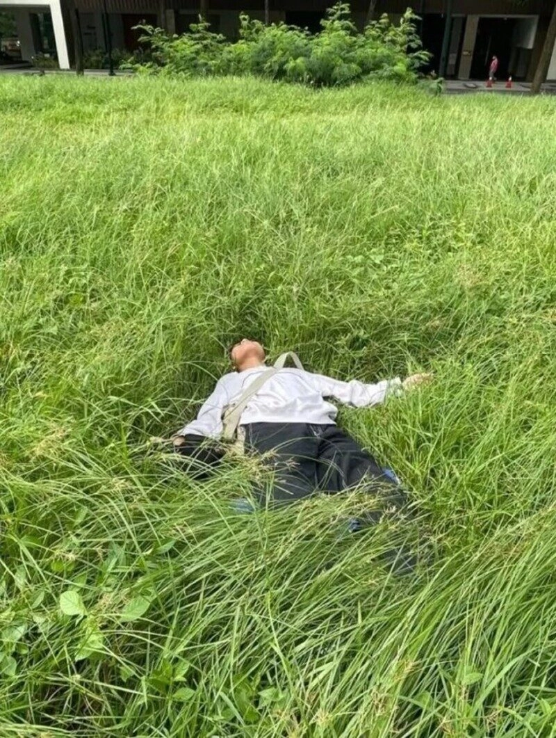 ảnh bãi cỏ đẹp