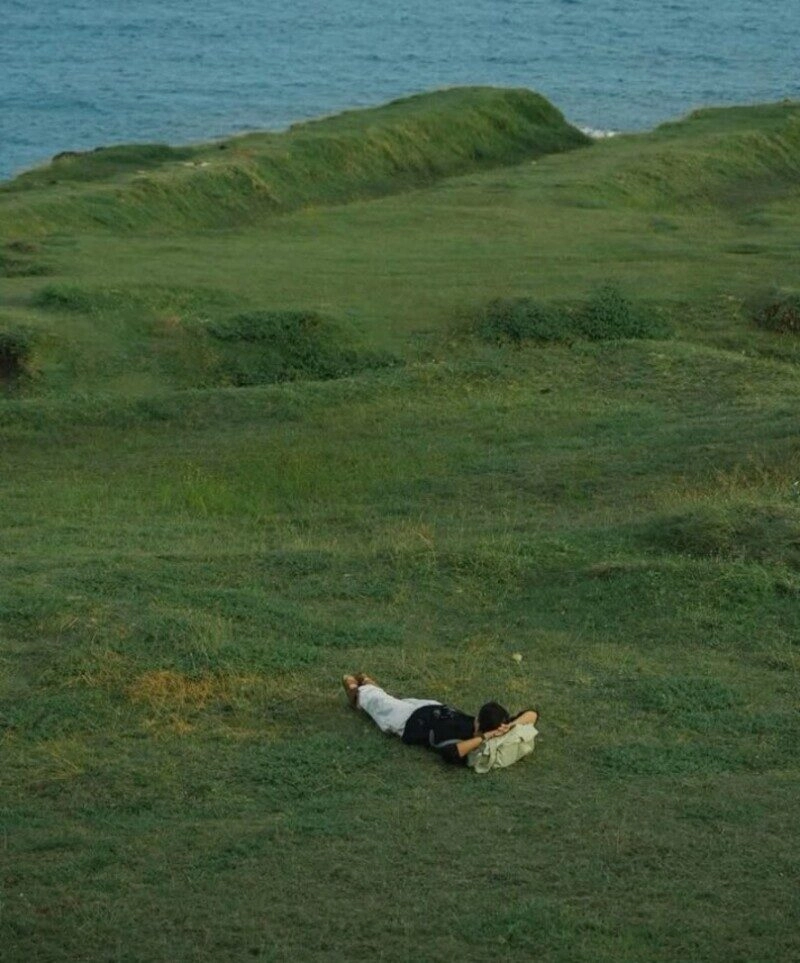 ảnh bãi cỏ đẹp