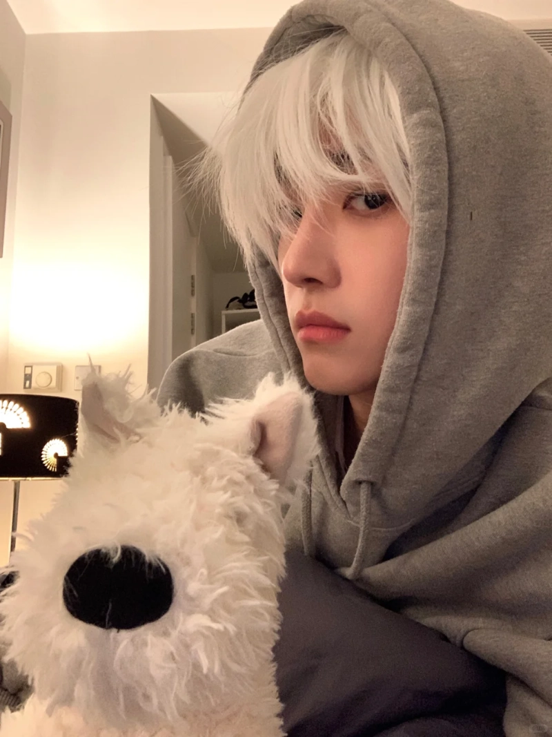 ảnh nam tóc trắng