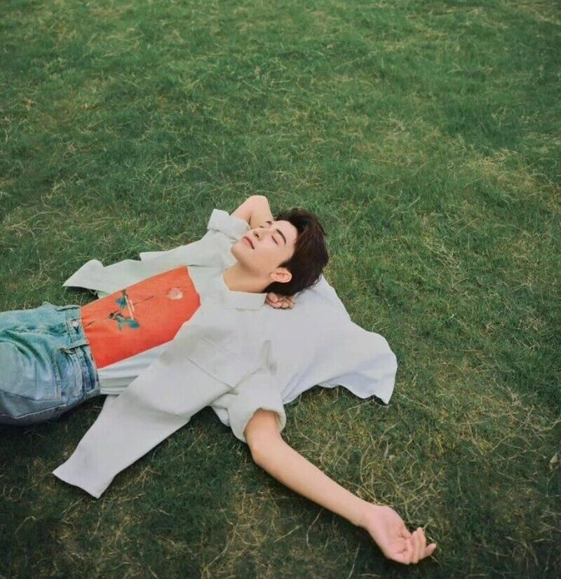 ảnh nằm trên bãi cỏ