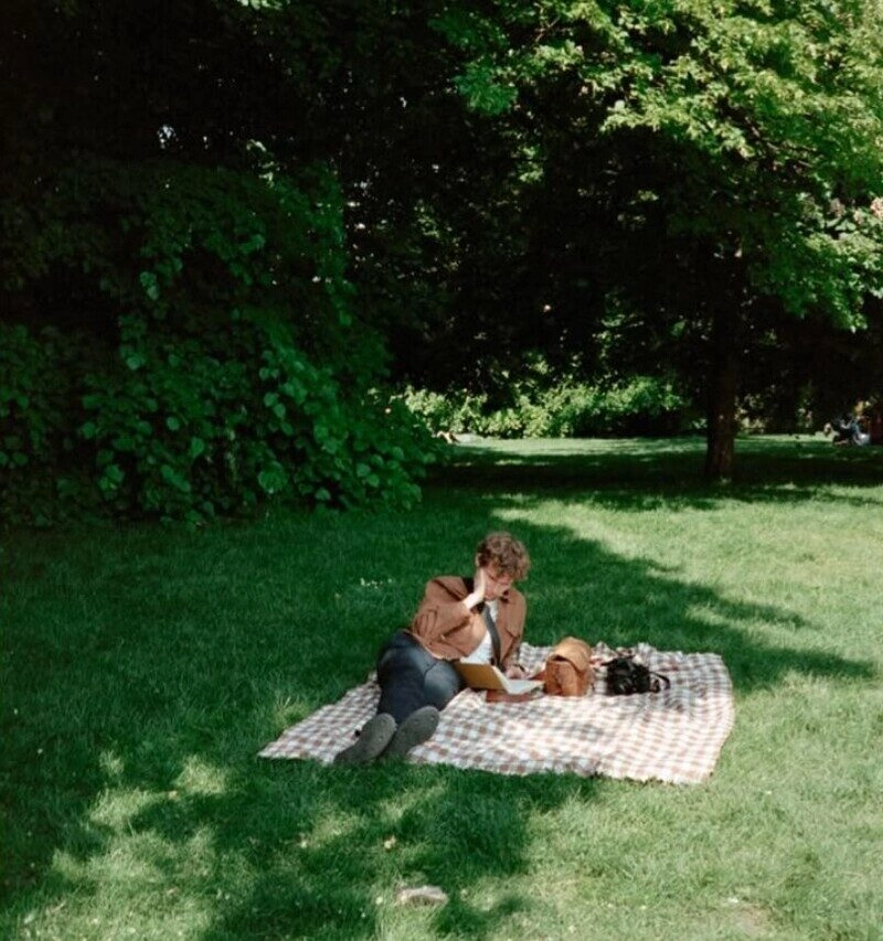 ảnh nằm trên xe