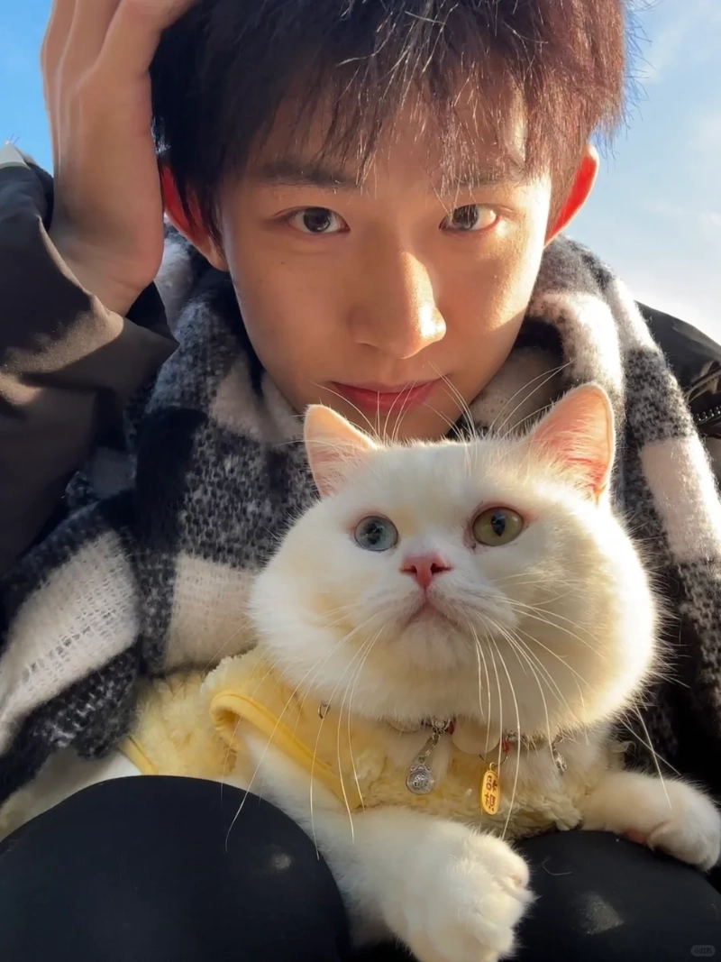 ảnh trai đẹp ôm mèo