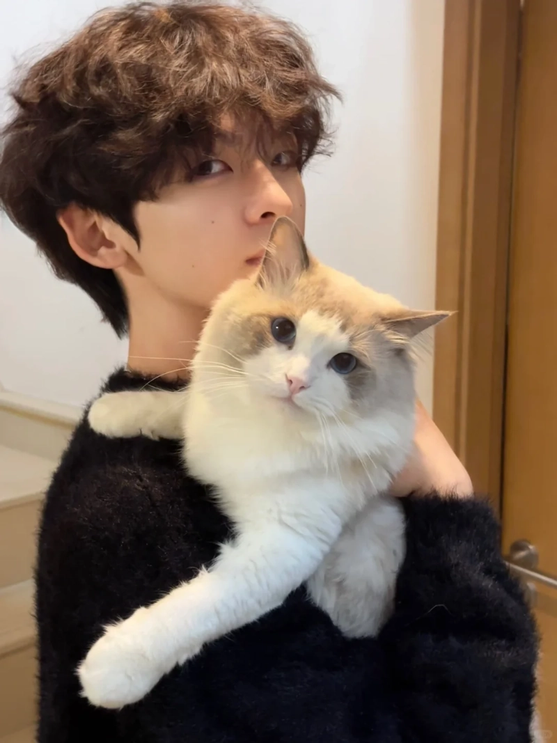 ảnh trai đẹp ôm mèo