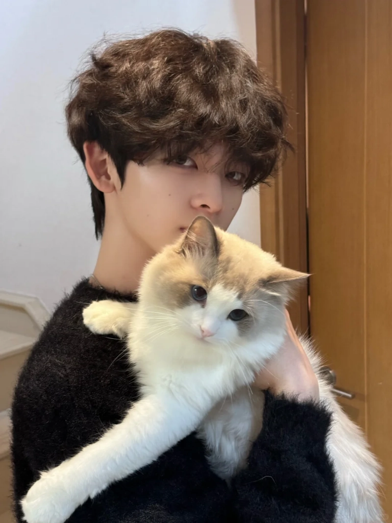 ảnh trai đẹp ôm mèo
