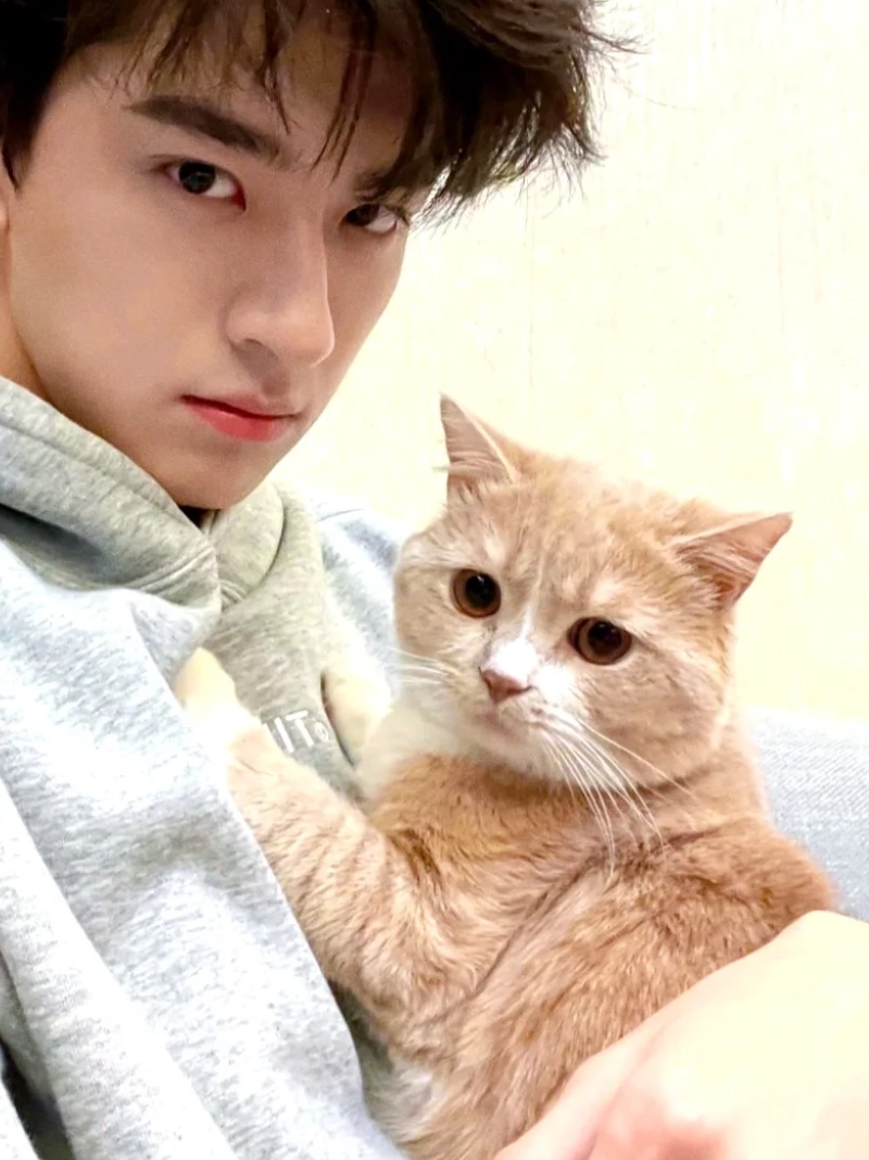 ảnh trai đẹp ôm mèo
