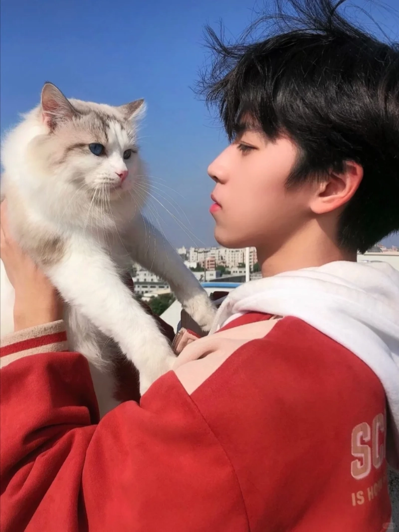 ảnh trai đẹp ôm mèo