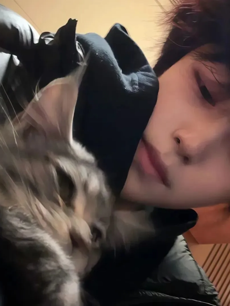 ảnh trai đẹp ôm mèo