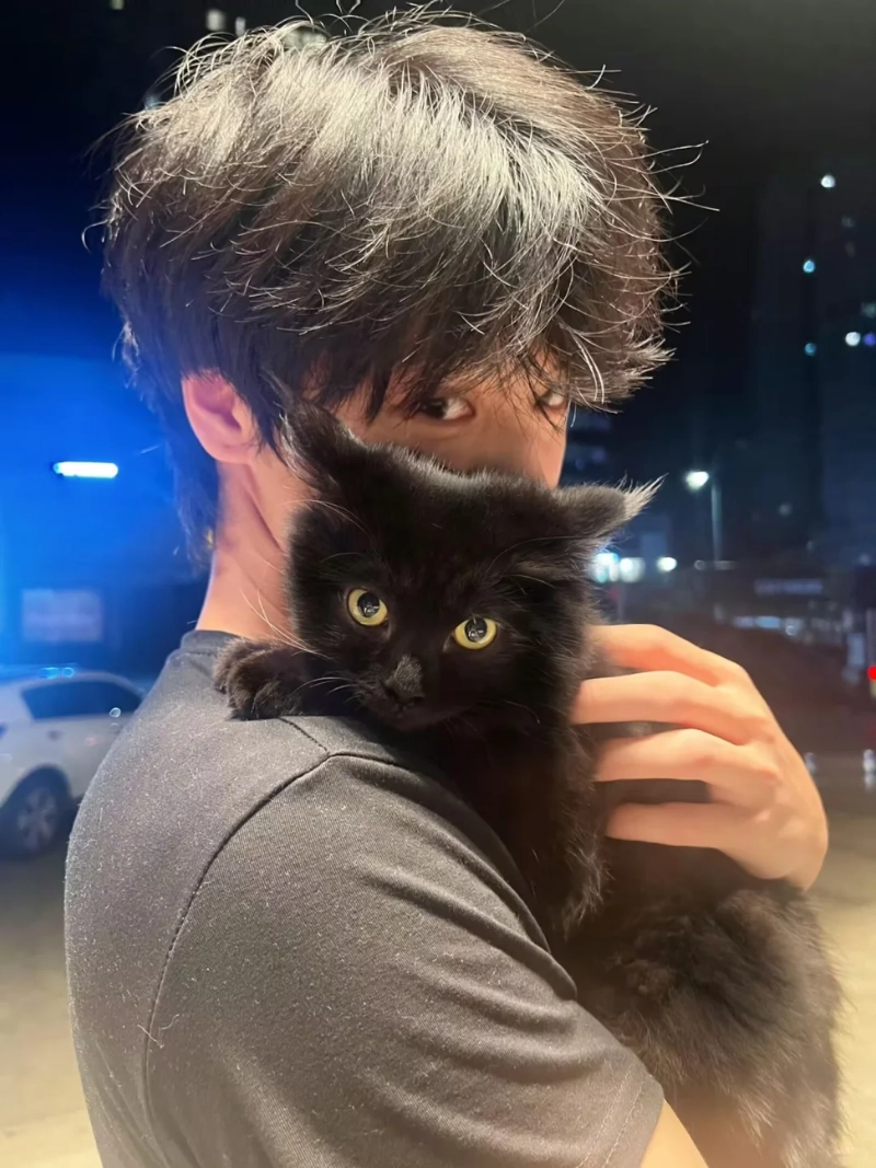 ảnh trai đẹp ôm mèo