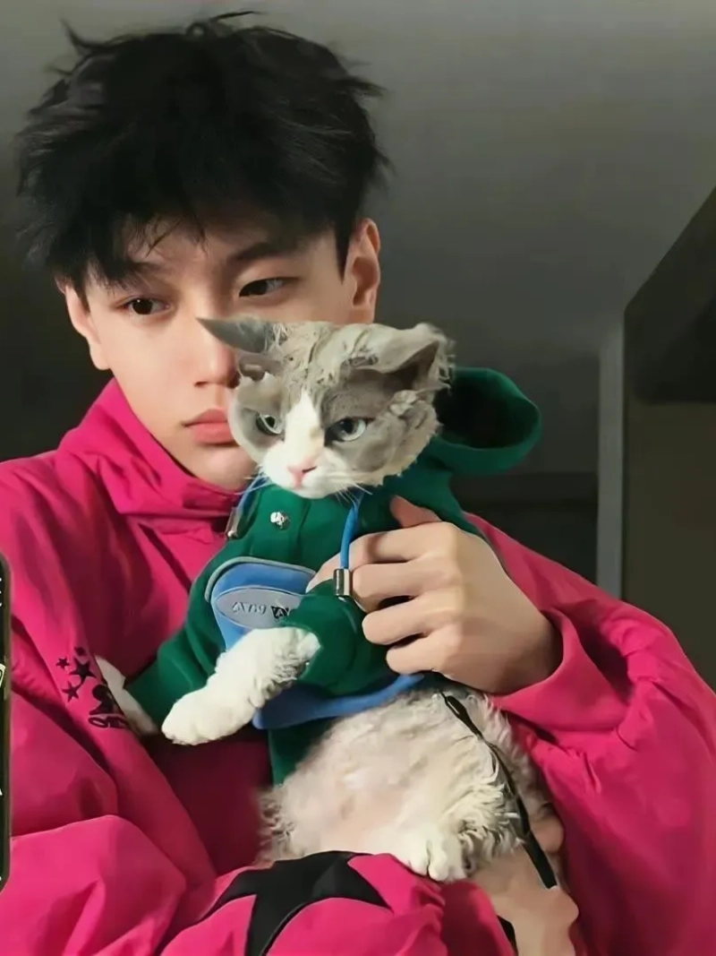 ảnh trai đẹp ôm mèo