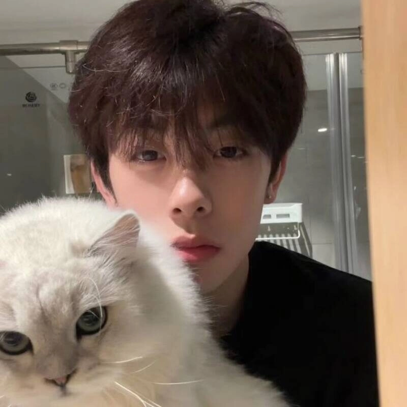 ảnh avatar nam cute