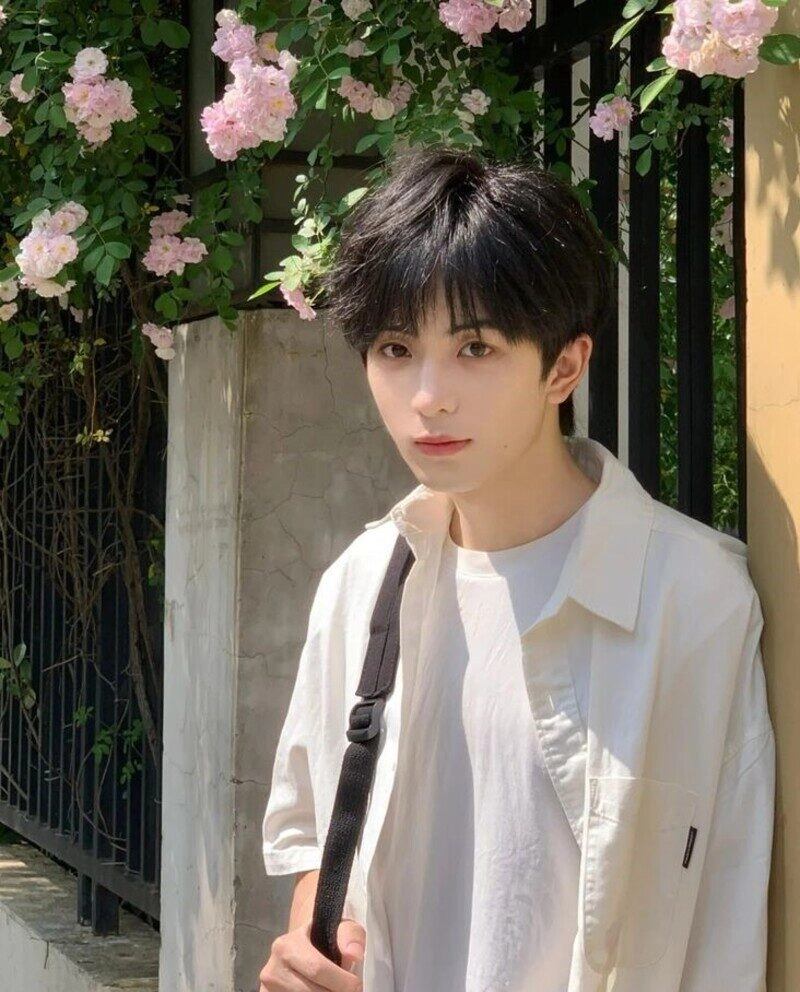 ảnh trai đẹp phú quốc meme