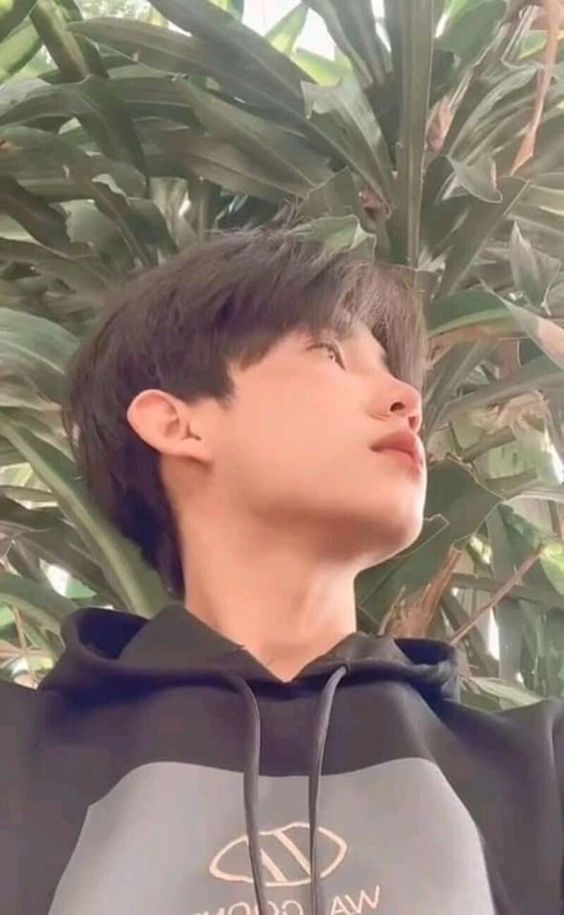 hình ảnh trai đẹp việt nam 16 tuổi